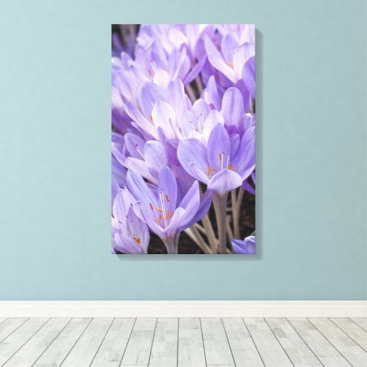 Krokus verpakt canvas print (Insitu (Houten vloer))