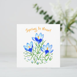 Krokusbloem op witte kaart