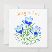 Krokusbloem op witte kaart (Voorkant)