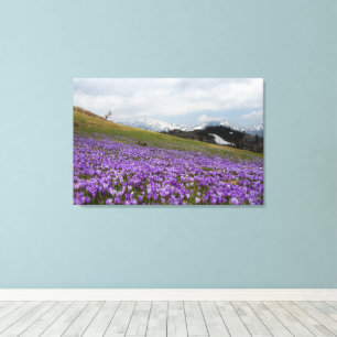Krokusbloemen bij Velika Planina, Slovenië Canvas Afdruk