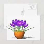 Krokusse Briefkaart (Voorkant / Achterkant)