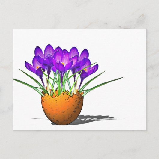 Krokusse Briefkaart (Voorkant)