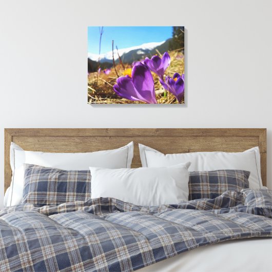 Krokussen, Tatra Canvas Afdruk (Insitu (Slaapkamer))