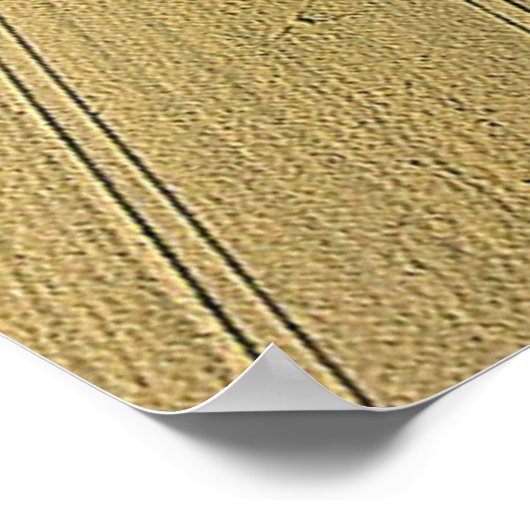 Kromcirkel in Diessenhofen, Zwitserland / Poster (Hoek)