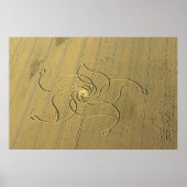 Kromcirkel in Diessenhofen, Zwitserland / Poster (Voorkant)