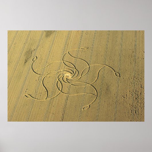 Kromcirkel in Diessenhofen, Zwitserland / Poster (Voorkant)