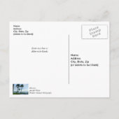 Kromme Palmbomen Dank Je Briefkaart (Achterkant)