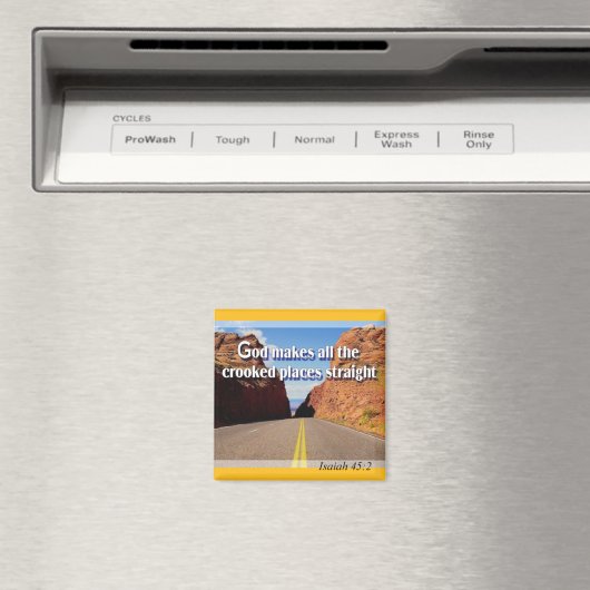 Kromme plaatsen rechte magneet (Insitu (Vaatwasser))