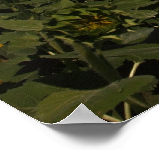 Kromming Poster (Hoek)