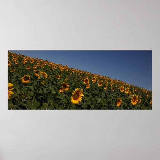 Kromming Poster (Voorkant)