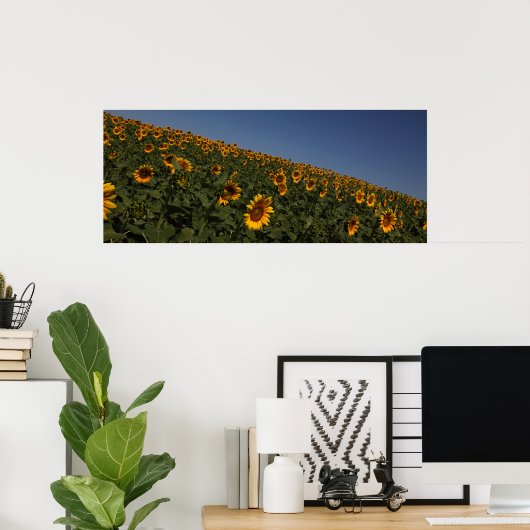 Kromming Poster (Thuiskantoor)