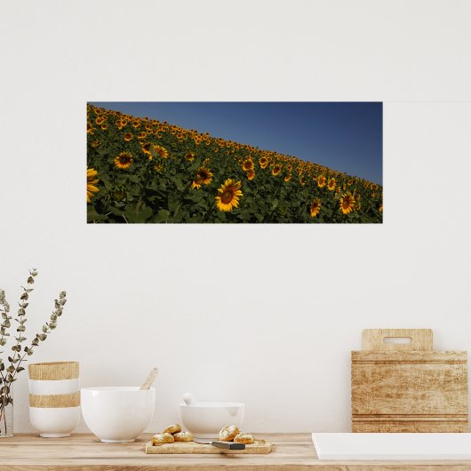 Kromming Poster (Keuken)