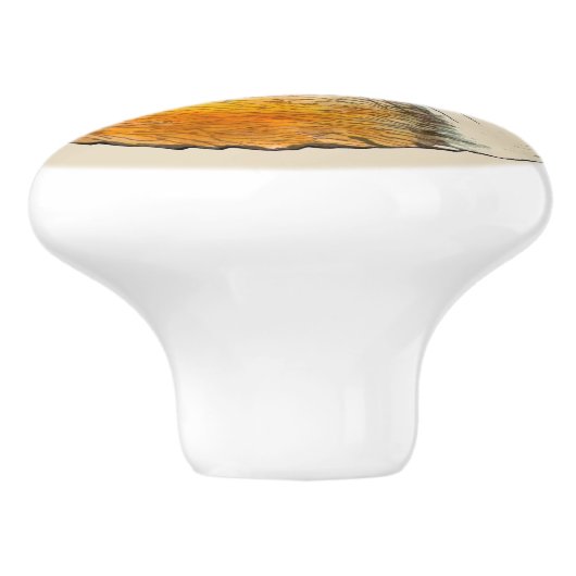 Kromp Zollijk Rood Fox Ceramic Drawer Pull Keramische Knop (Zijkant)