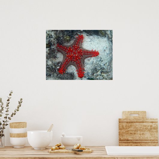 Kroning van de borstkreeft op het koraalrif poster (Keuken)