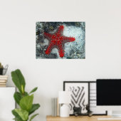 Kroning van de borstkreeft op het koraalrif poster (Thuiskantoor)