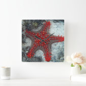 Kroning van de borstkreeft op het koraalrif vierkante klok (Huis)