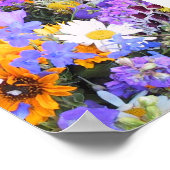 Kronkel van Floral Colors Poster (Hoek)