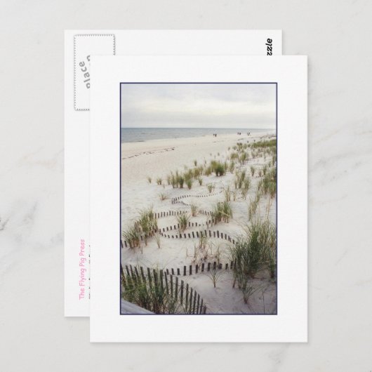 'Kronkelend hek met grasduinen' Briefkaart (Voorkant / Achterkant)