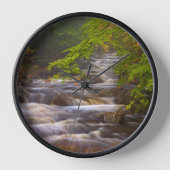 Kronkelende beekjes langs het Appalachian Trail (Voorkant)