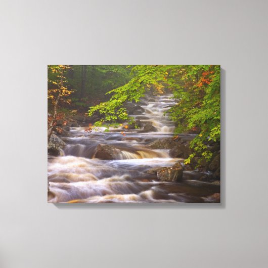 Kronkelende beekjes langs het Appalachian Trail Canvas Afdruk (Voorkant)