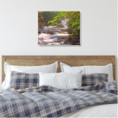 Kronkelende beekjes langs het Appalachian Trail Canvas Afdruk (Insitu (Slaapkamer))