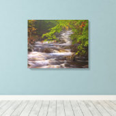 Kronkelende beekjes langs het Appalachian Trail Canvas Afdruk (Insitu (Houten vloer))
