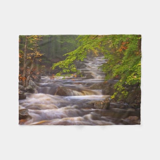Kronkelende beekjes langs het Appalachian Trail Fleece Deken (Voorkant (Horizontaal))