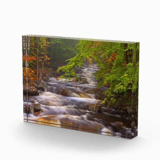 Kronkelende beekjes langs het Appalachian Trail Fotoblokken (Rechts)