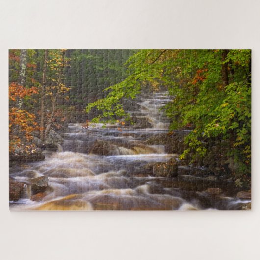 Kronkelende beekjes langs het Appalachian Trail Legpuzzel (Horizontaal)