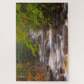 Kronkelende beekjes langs het Appalachian Trail Legpuzzel (Verticaal)