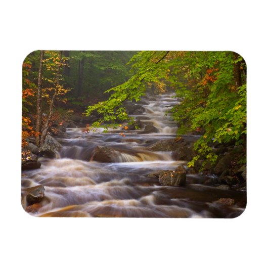 Kronkelende beekjes langs het Appalachian Trail Magneet (Horizontaal)