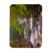 Kronkelende beekjes langs het Appalachian Trail Magneet (Verticaal)