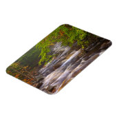 Kronkelende beekjes langs het Appalachian Trail Magneet (Linkerzijde)