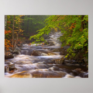 Kronkelende beekjes langs het Appalachian Trail Poster