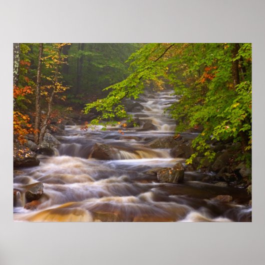 Kronkelende beekjes langs het Appalachian Trail Poster (Voorkant)