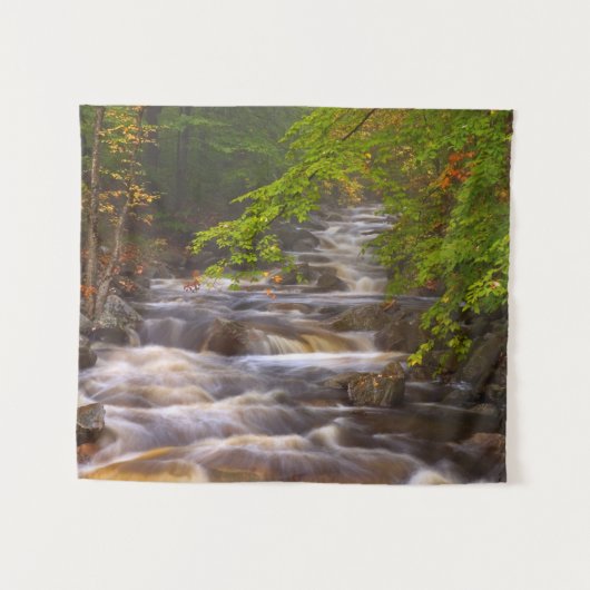 Kronkelende beekjes langs het Appalachian Trail Wandkleed (Voorkant (horizontaal))