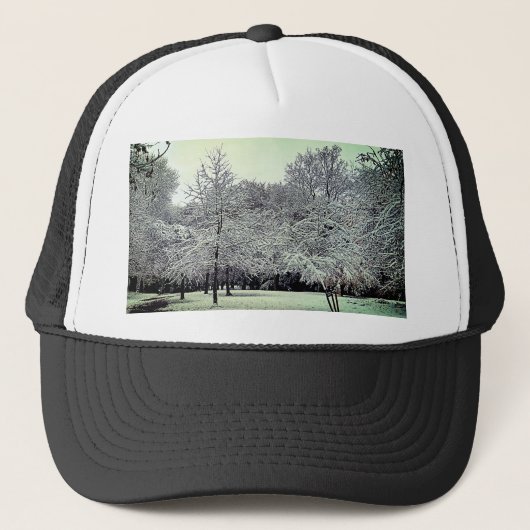 Kronkelende bomen trucker pet (Voorkant)