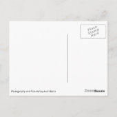 Kronkelende boomwortels briefkaart (Achterkant)