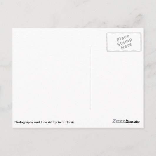 Kronkelende boomwortels briefkaart (Achterkant)