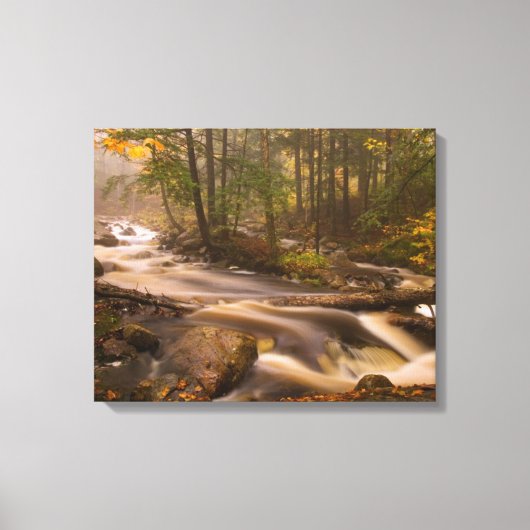 Kronkelende stromen Appalachian Trail | Vermont Canvas Afdruk (Voorkant)