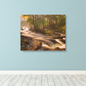 Kronkelende stromen Appalachian Trail | Vermont Canvas Afdruk (Insitu (Houten vloer))