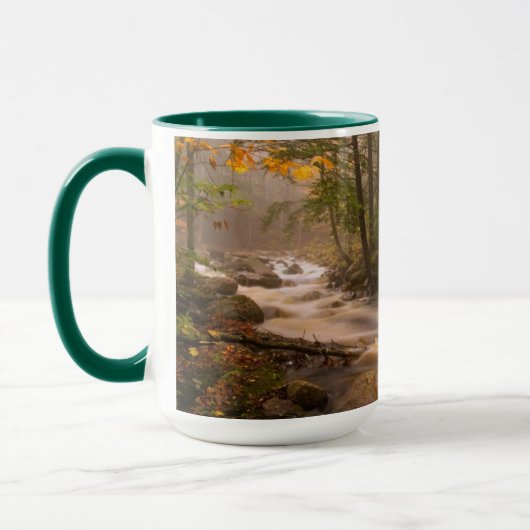 Kronkelende stromen Appalachian Trail | Vermont Mok (Links)