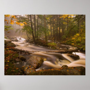 Kronkelende stromen Appalachian Trail   Vermont Poster