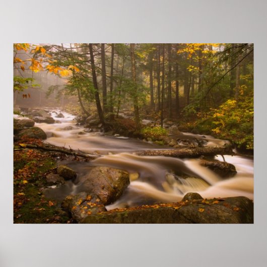 Kronkelende stromen Appalachian Trail | Vermont Poster (Voorkant)