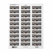 Kronkelig Berken Bast Boom Rustiek Etiket (Full Sheet)