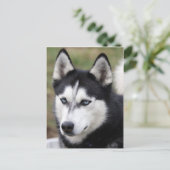 kronkelig briefkaart (Staand voorkant)