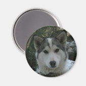 kronkelig magneet (Voorkant / Achterkant)