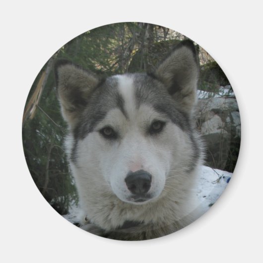 kronkelig magneet (Voorkant)