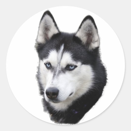 kronkelig ronde sticker (Voorkant)
