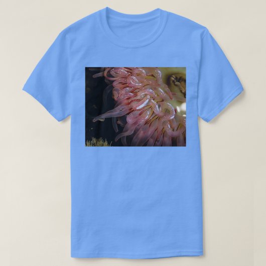 kronkelig t-shirt (Design voorkant)